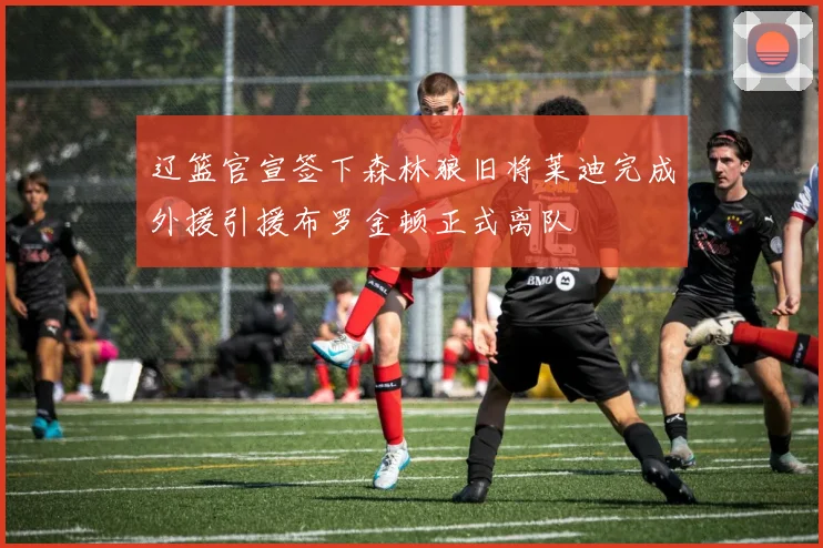 辽篮官宣签下森林狼旧将莱迪完成外援引援布罗金顿正式离队