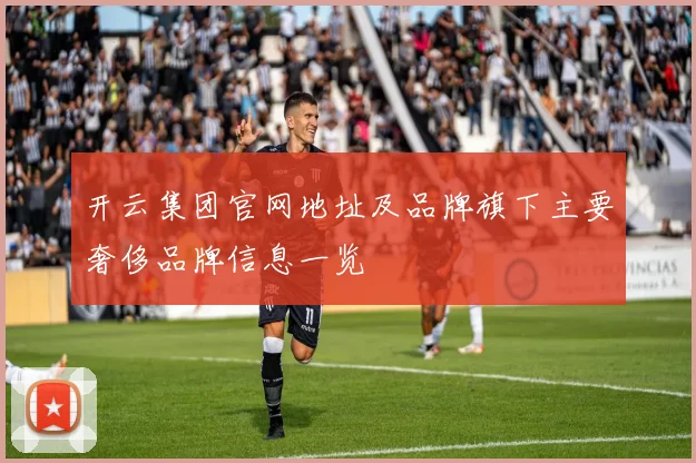 开云集团官网地址及品牌旗下主要奢侈品牌信息一览
