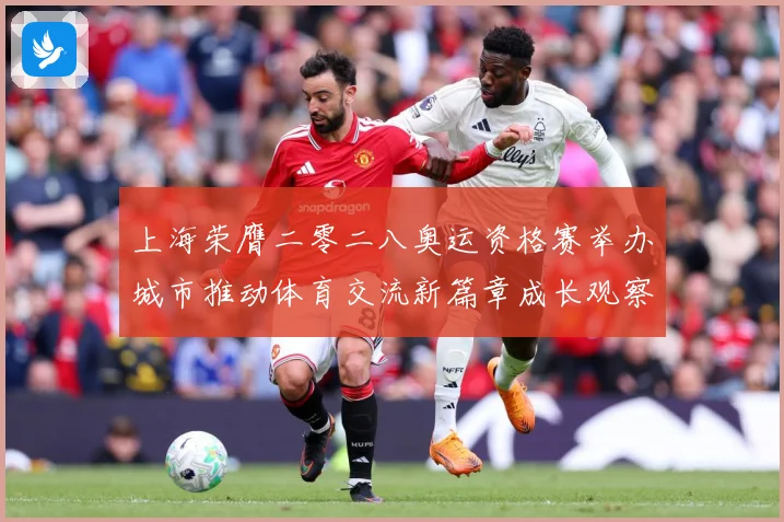 上海荣膺二零二八奥运资格赛举办城市推动体育交流新篇章成长观察