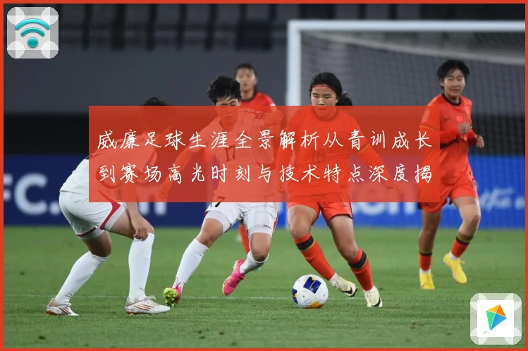 威廉足球生涯全景解析从青训成长到赛场高光时刻与技术特点深度揭秘