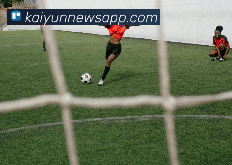 开云平台展示图